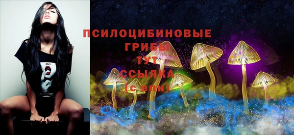 дурь Алексеевка