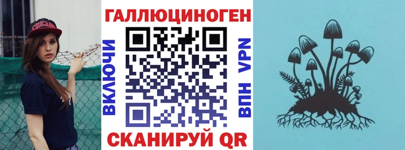 Псилоцибиновые грибы Psilocybine cubensis  купить закладку  mega tor  Новороссийск 