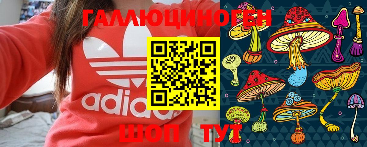 Псилоцибиновые грибы MAGIC MUSHROOMS  Псилоцибиновые грибы Magic Shrooms  Новороссийск  Вход с VPN 